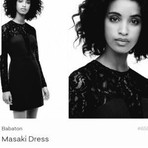 Aritzia Babaton Black Lace Mini Dress